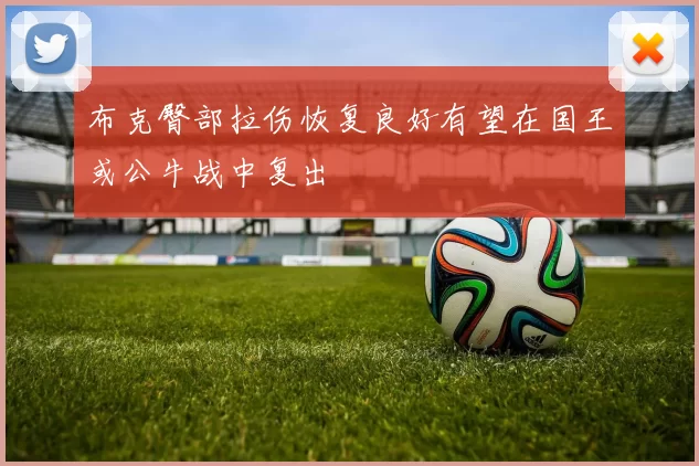 布克臀部拉伤恢复良好有望在国王或公牛战中复出