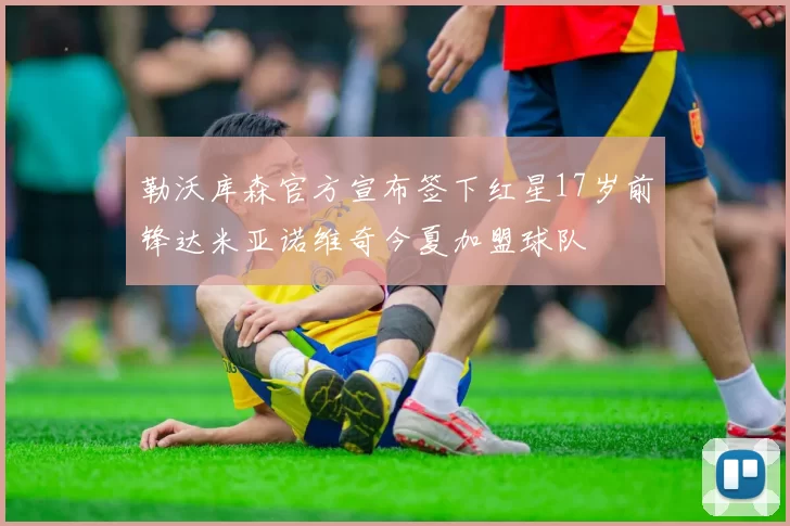 勒沃库森官方宣布签下红星17岁前锋达米亚诺维奇今夏加盟球队